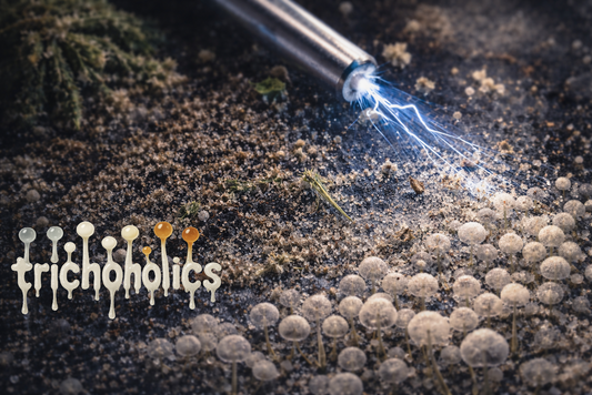 Was ist Static Hash? (Static Tech einfach erklärt)