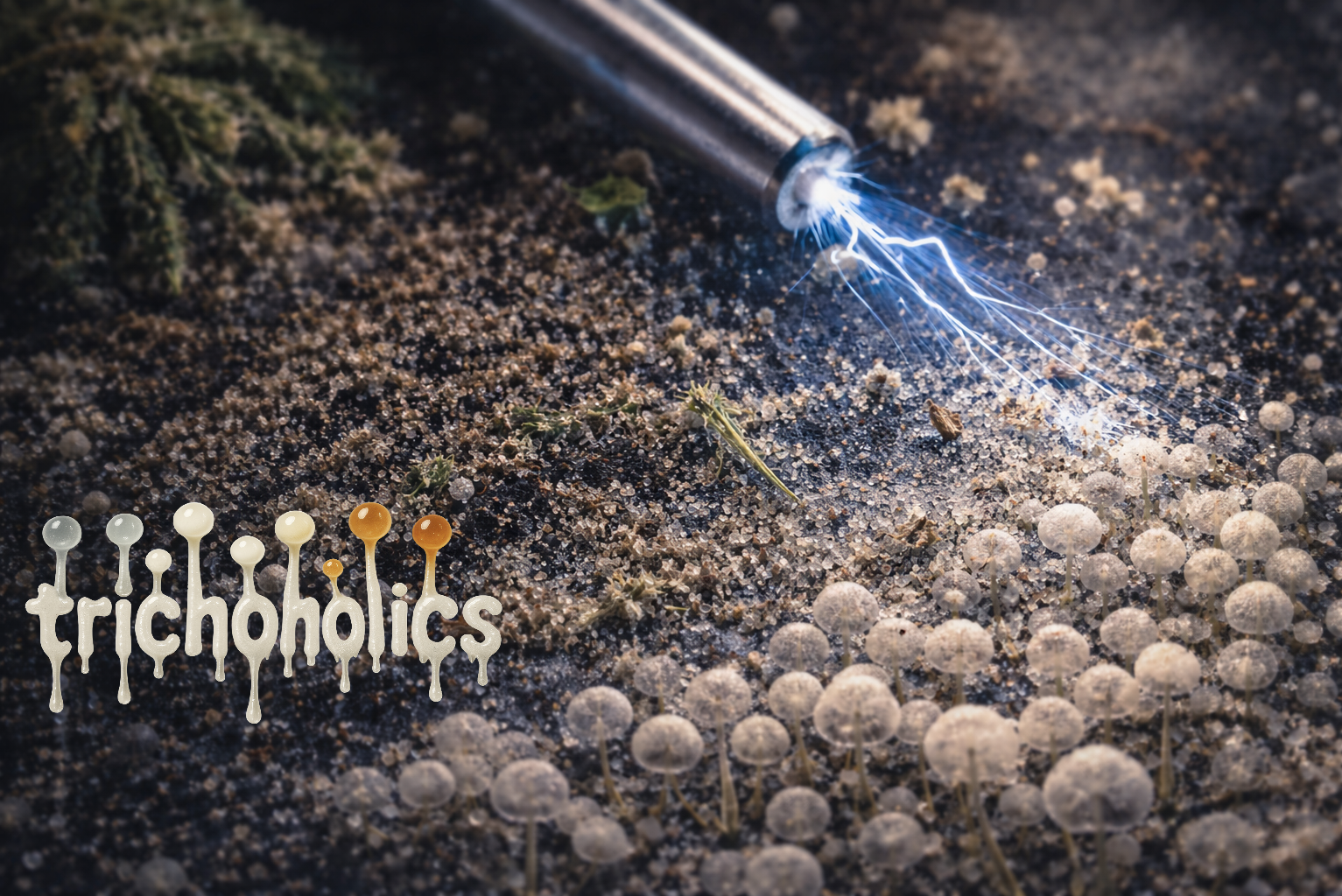 Was ist Static Hash? Static Tech einfach erklärt | Trichoholics